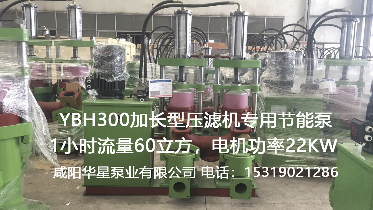 YBH300加長型壓濾機(jī)專用節(jié)能泵